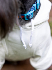 Personalized Dog Hoodie | Varsity Letter Patch Monogram Shirt for Pets