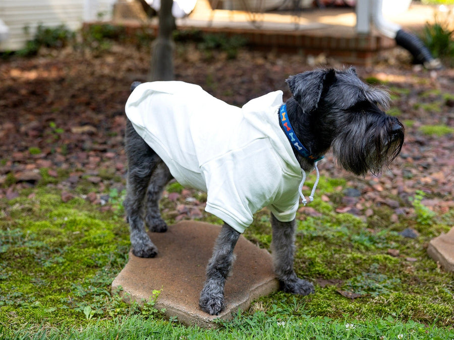 Personalized Dog Hoodie | Varsity Letter Patch Monogram Shirt for Pets