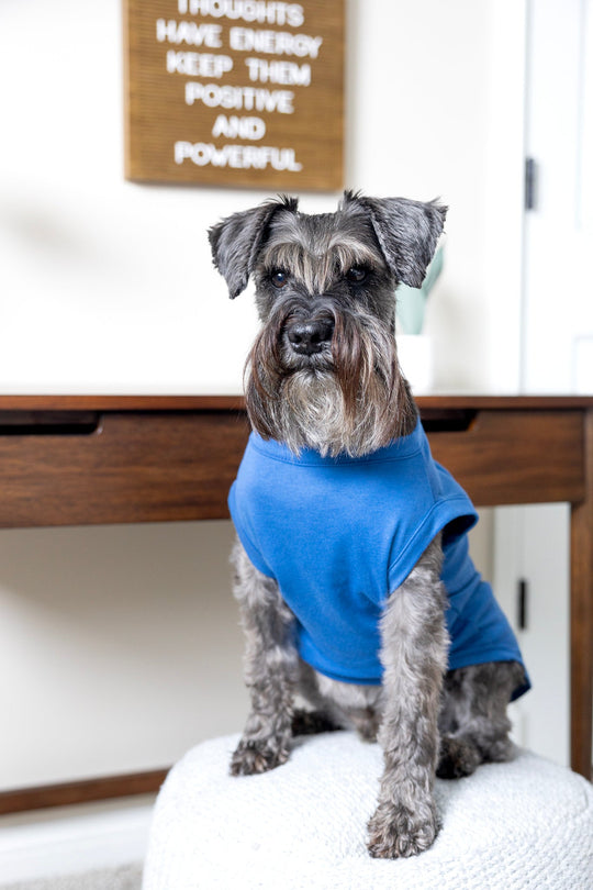 blue dog tank.