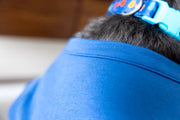 blue pet shirt neckline in blue