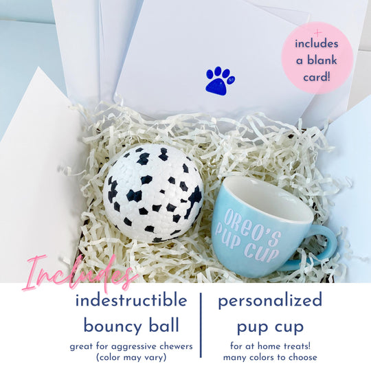 Personalized Gift Set for Her | New Puppy Toy Box for Dog
