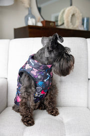 Personalized Pink Dog Vest | Small Dog Rain Jacket with Leash Rings