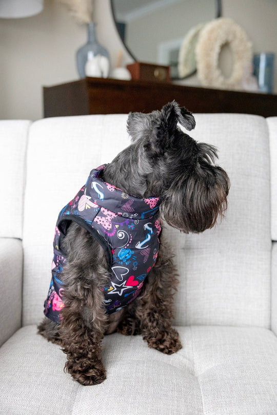 Personalized Pink Dog Vest | Small Dog Rain Jacket with Leash Rings