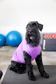 Purple Blank Pet Shirt for DIY Customization - Perfect for Personalizing