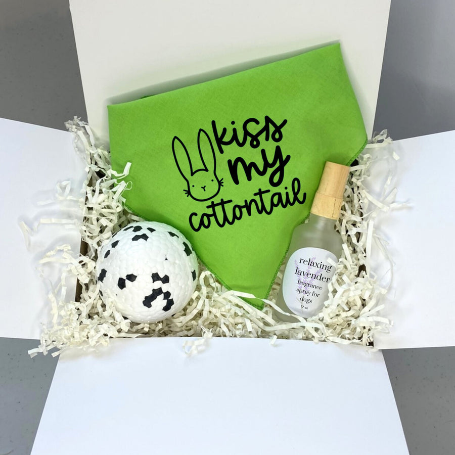 Pet Easter Basket from Easter Bunny - Toy, Neckerchief & Funny Bandana Gift