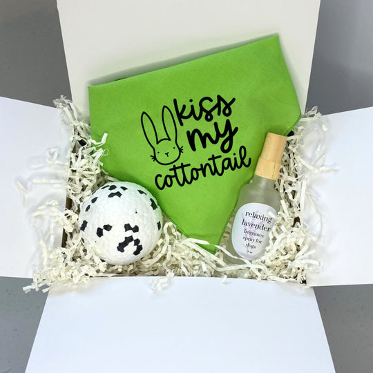 Pet Easter Basket from Easter Bunny - Toy, Neckerchief & Funny Bandana Gift
