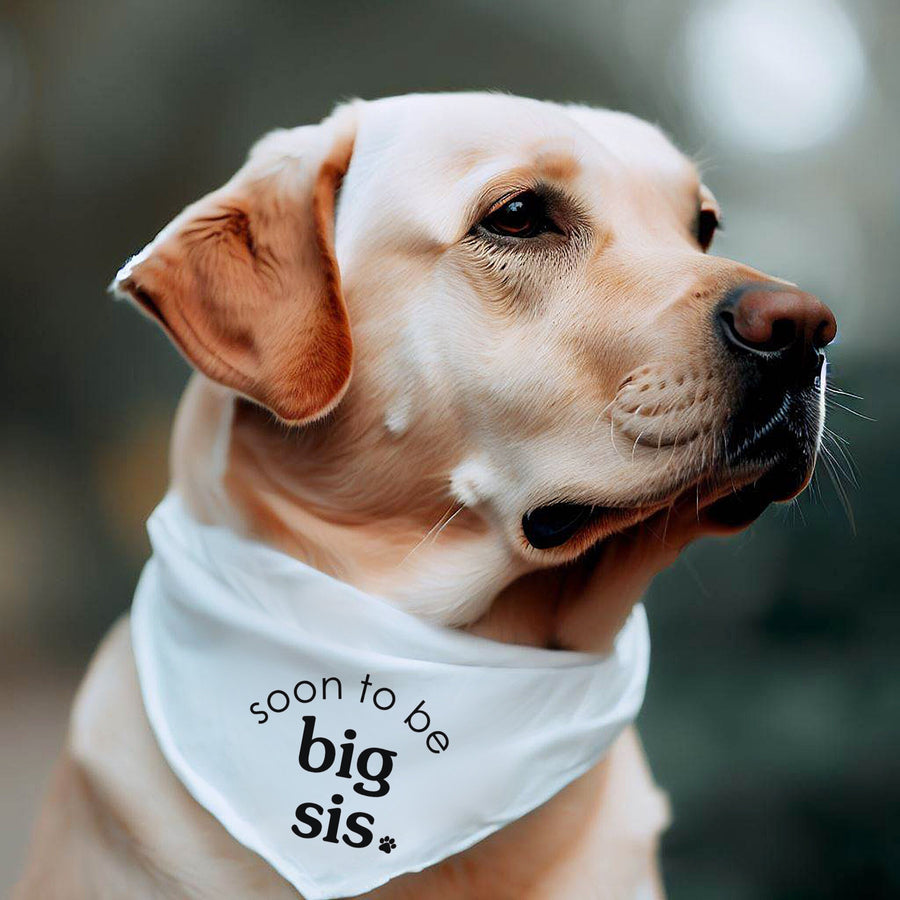 Pink Baby Gender Reveal Dog Bandana – Cute Reveal Accessory