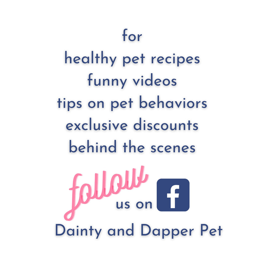 Pink Baby Gender Reveal Dog Bandana – Cute Reveal Accessory