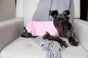 Pink Dog Dress - Perfect Dog Dad Gift for Father's Day Celebration