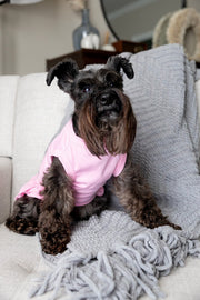 Pink Easter Dress for Dog - Cute Spring Outfit for Pet Holiday Celebration