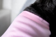 Pink Easter Dress for Dog - Cute Spring Outfit for Pet Holiday Celebration