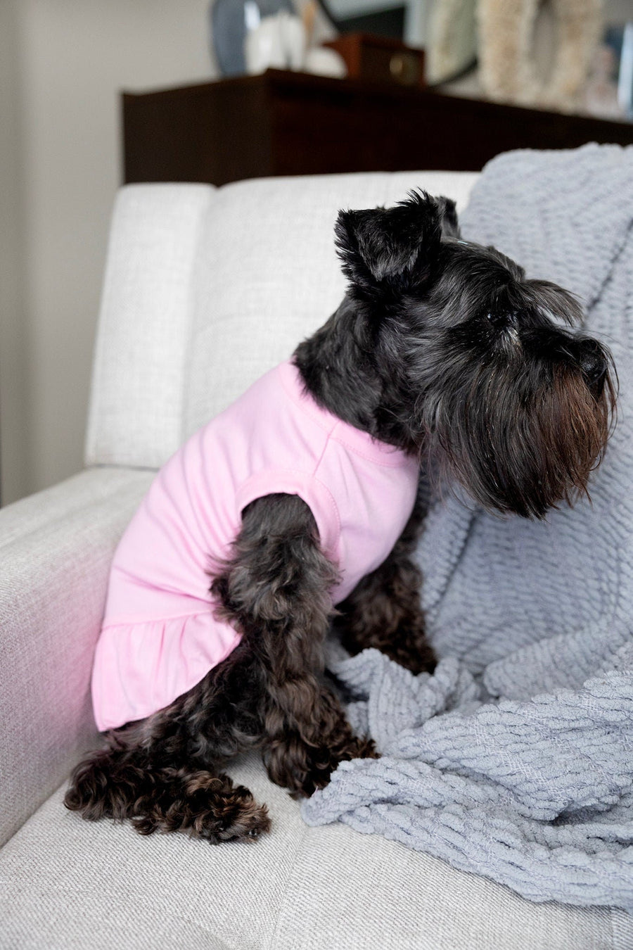 Pink Easter Dress for Dog - Cute Spring Outfit for Pet Holiday Celebration