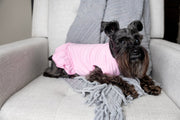 Pink Easter Dress for Dog - Cute Spring Outfit for Pet Holiday Celebration