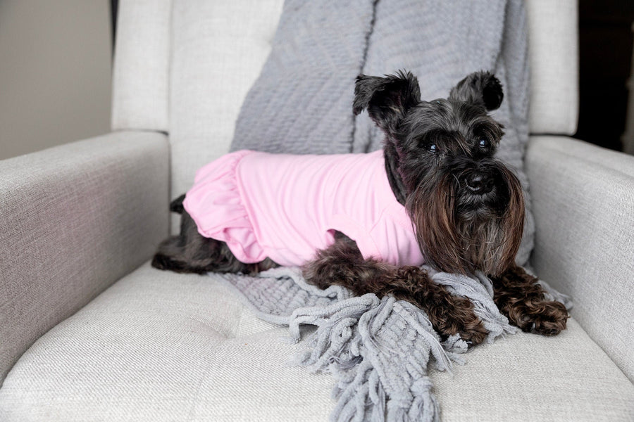 Pink Easter Dress for Dog - Cute Spring Outfit for Pet Holiday Celebration