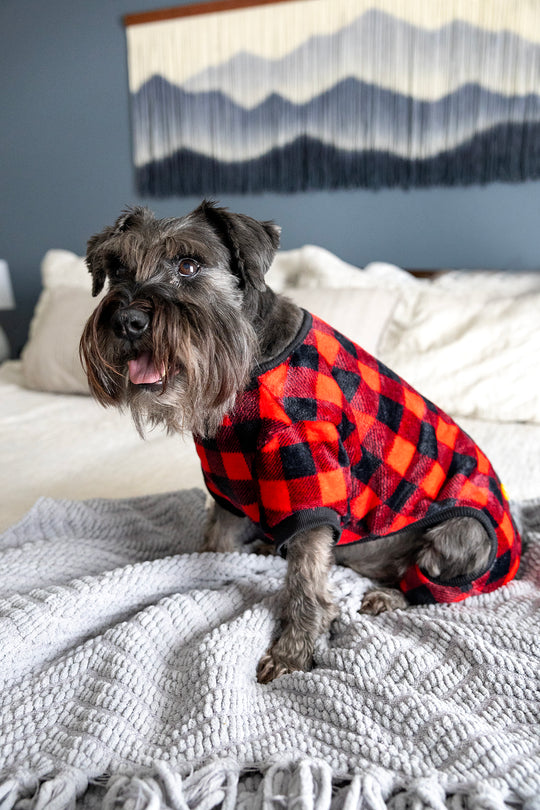 Plaid Christmas Dog Pajamas, red and black check, sideview