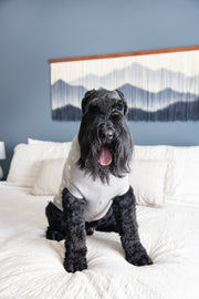Dog Sweater for Christmas, for large breeds, dog sitting and showing front side view of pet sweater.