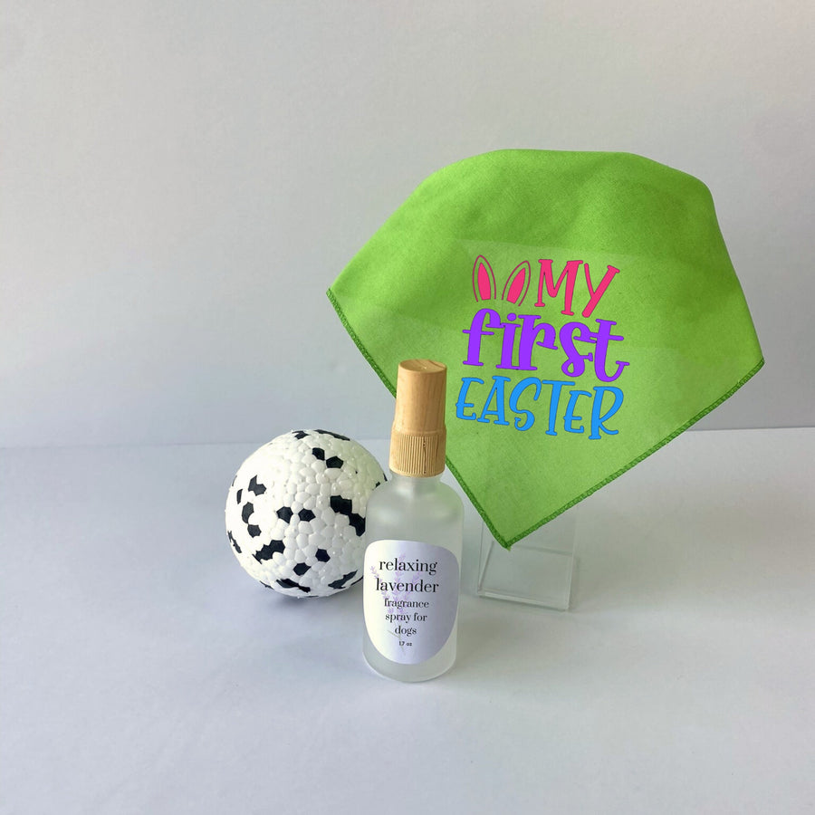 Puppy Easter Basket - First Easter Gift for Dog with Toy, Bandana & Gift Box