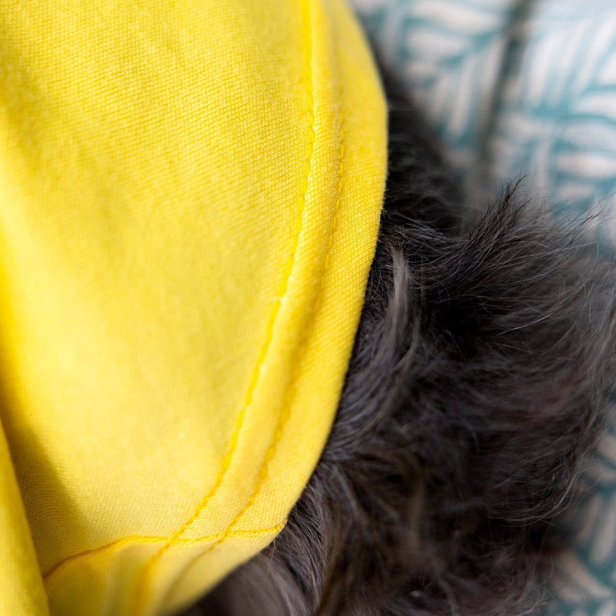Puppy Shirt for New Dog - Summer Tee for Pets