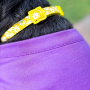 Purple Birthday Dress for Dog – Pink & Gold Design Party Outfit