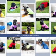 Red Custom Dog Shirt - Personalized for Business Logo or Pet Apparel