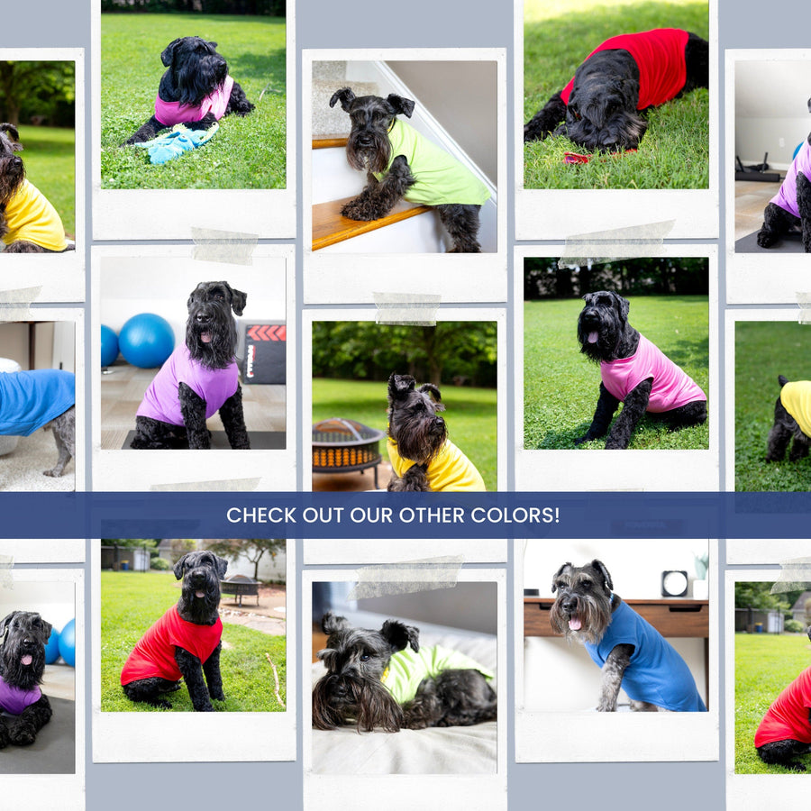 Red Custom Dog Shirt - Personalized for Business Logo or Pet Apparel