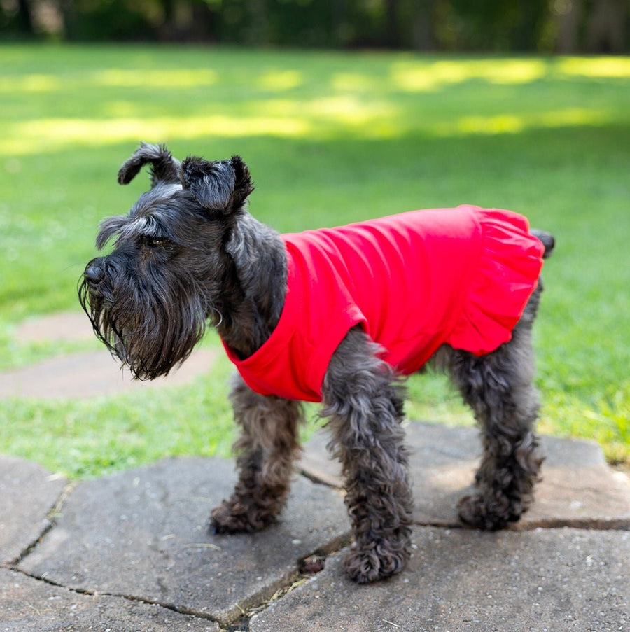Red Dog Dress - Love Bug Design, Cute Father's Day Outfit for Pets