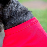 Red Dog Dress - Love Bug Design, Cute Father's Day Outfit for Pets