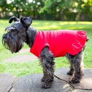 Red Dog Dress - Love Bug Design, Cute Father's Day Outfit for Pets