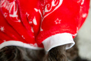 Red pajamas for dogs, close up of arm bands and white hem.