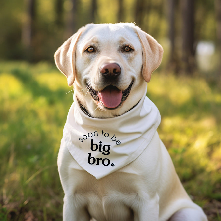 
Sibling Cat Bandana for New Pup - Reveal Idea for Dog Mom Gift
