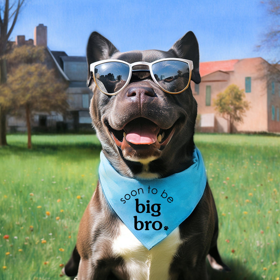 
Sibling Cat Bandana for New Pup - Reveal Idea for Dog Mom Gift
