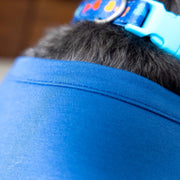 Sibling Dog Shirt in Blue - Big Brother Outfit for Dogs