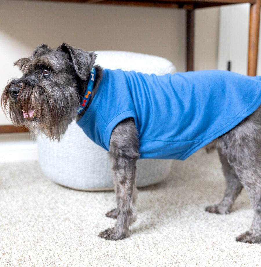 Sibling Dog Shirt in Blue - Big Brother Outfit for Dogs