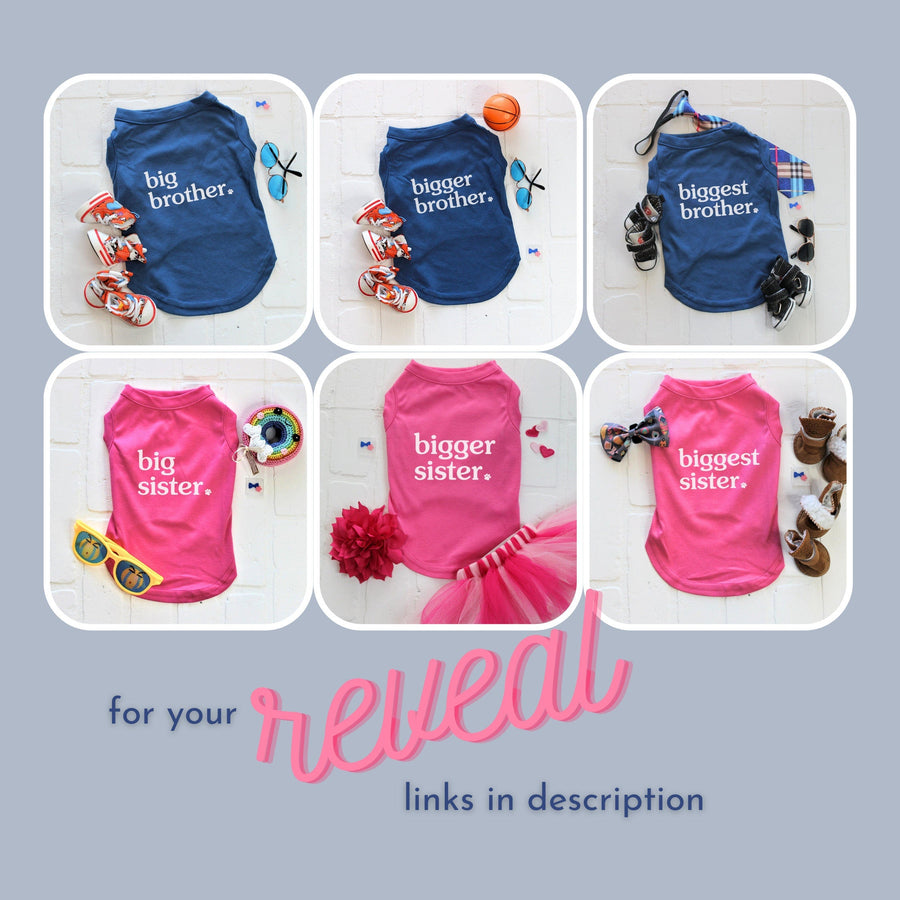 Sibling Dog Shirt in Blue - Big Brother Outfit for Dogs