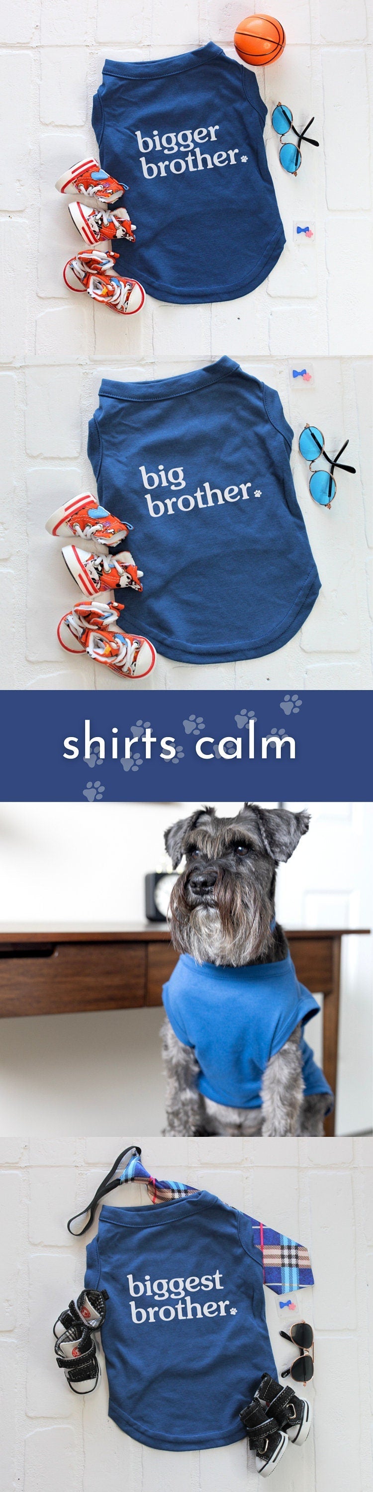 Sibling Dog Shirt in Blue - Big Brother Outfit for Dogs