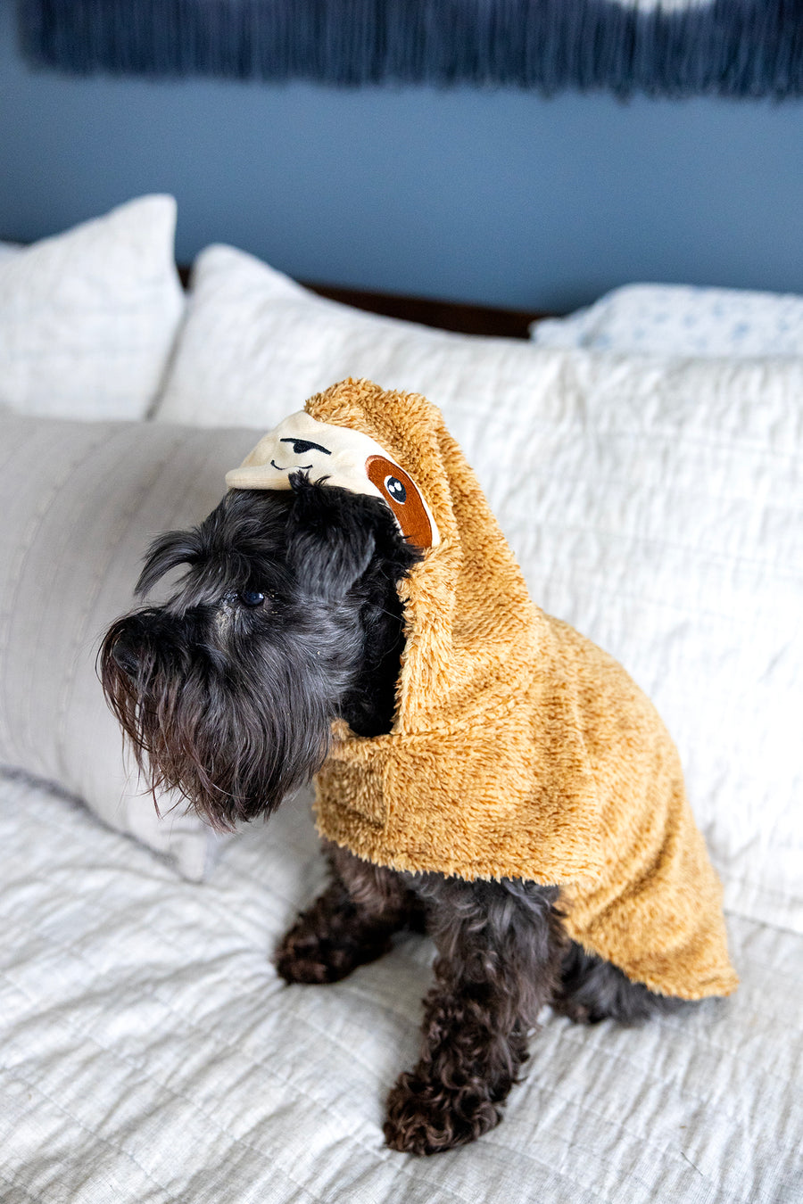 sloth costume front view