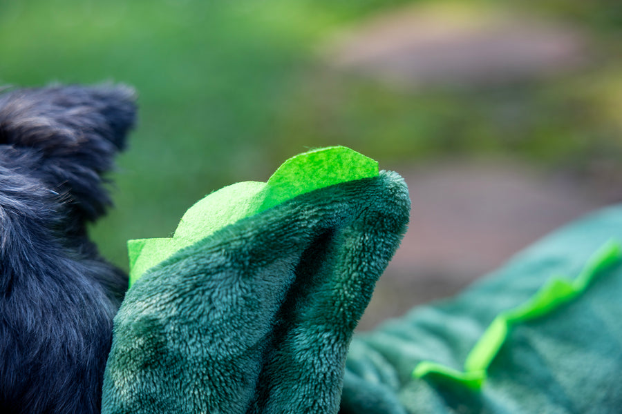 small dog halloween costume, close up detail of spikes in felt