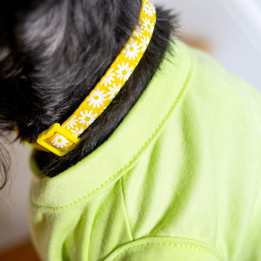 Unisex Pet Birthday Shirt in Green - Fits XS to Giant Breeds for Dogs