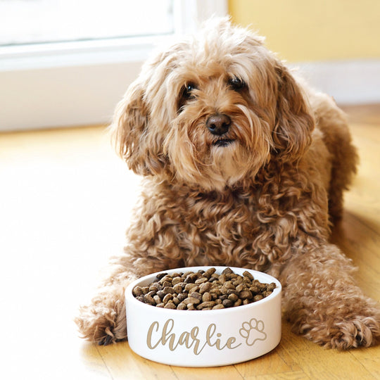 White Dog Bowl Personalized with Name - Custom Pet Dish for Dogs