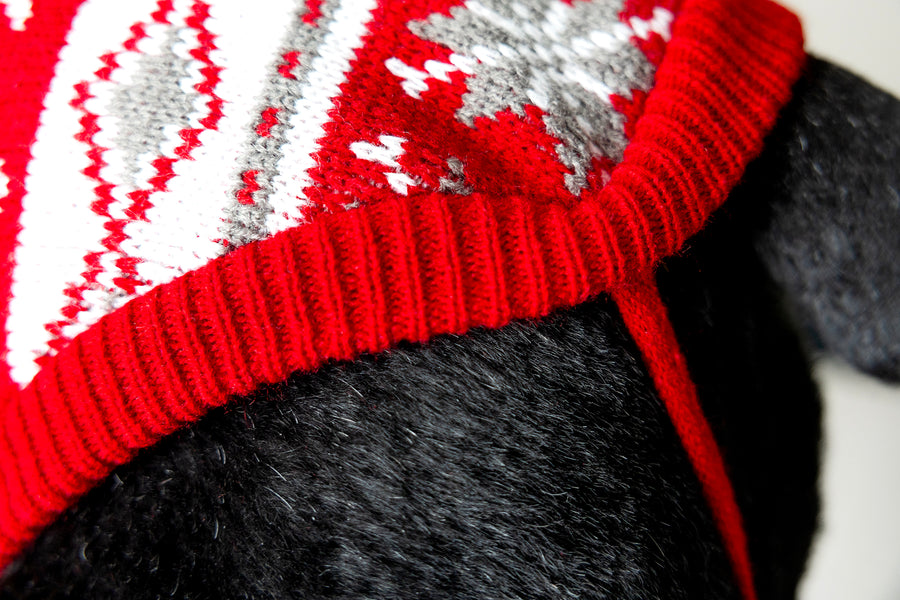 winter dog sweater with straps for secure fit, in red, close up