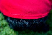 Fourth of July Red Dog T Shirt