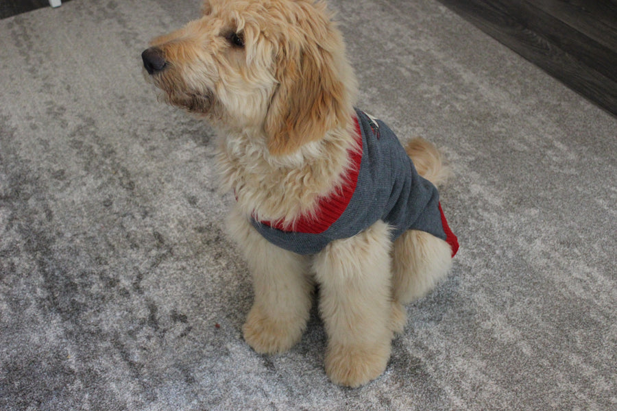dog sweater for winter side view
