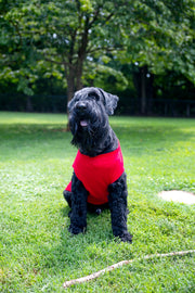 Fourth of July Red Dog T Shirt