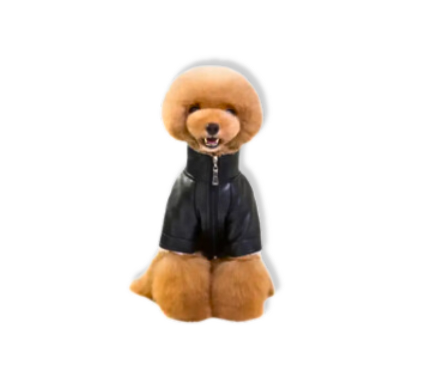 front view of pleather dog coat, zips at underside.