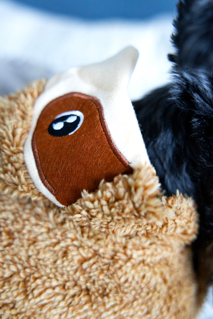 funny dog costume close up of sloth face, hood of costume