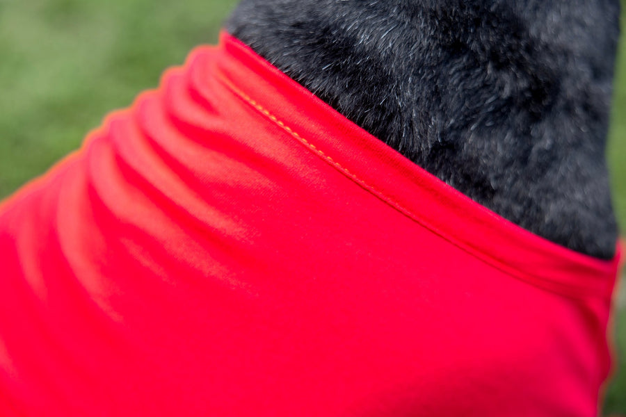 Fourth of July Red Dog T Shirt