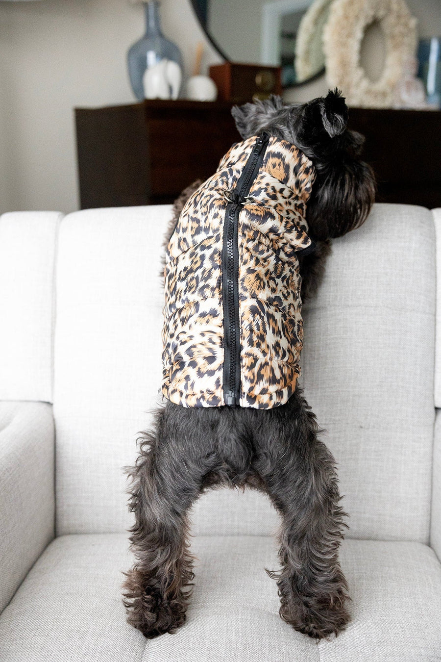Leopard Print Dog Jacket with Name | Personalized Zipper Vest for Pet