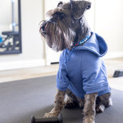 Little Brother Dog Jacket – Blue Hoodie for Dog Mom Gift & Gender Reveal
