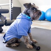 Little Brother Dog Jacket – Blue Hoodie for Dog Mom Gift & Gender Reveal