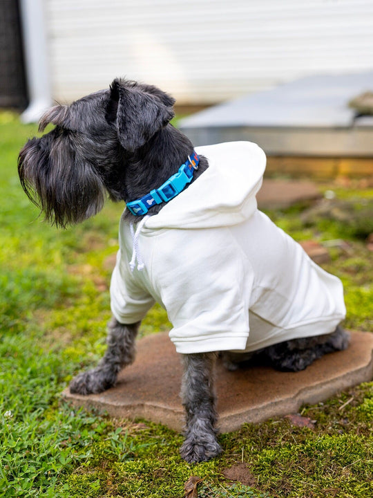 Birthday Shirt for Dog with Happy Birthday for Pet Party